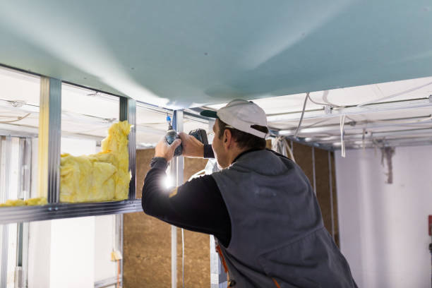 Best Spray Foam Insulation in Roscoe, IL