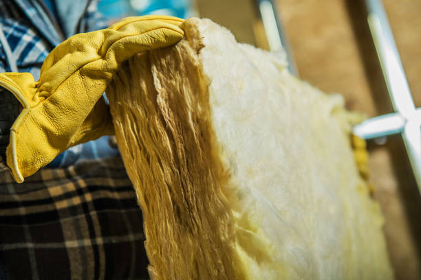Best Insulation Maintenance and Repair in Roscoe, IL