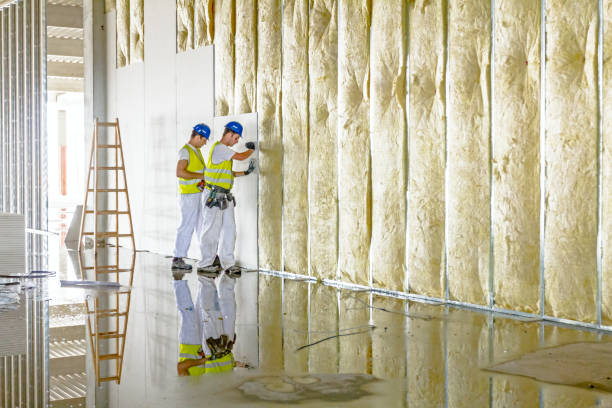 Best DIY Insulation Kits and Guidance in Roscoe, IL